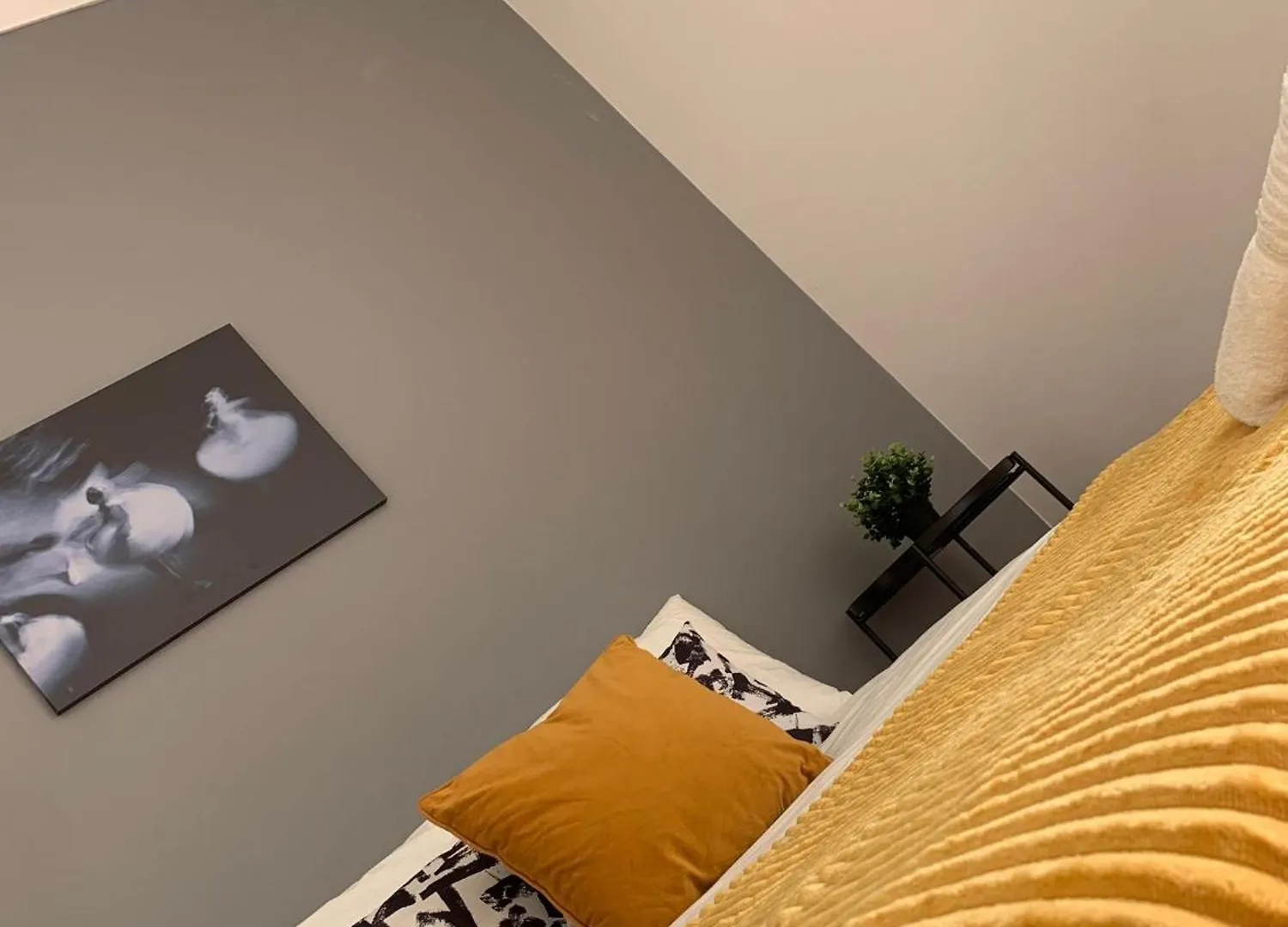 Central Lisbon Rooms, Best Location For Tourists